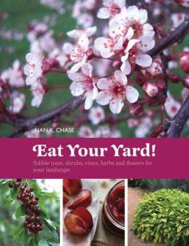 Edible Mint for Your Garden